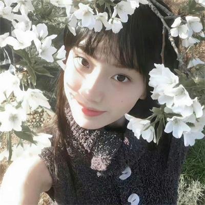 模型姐妹