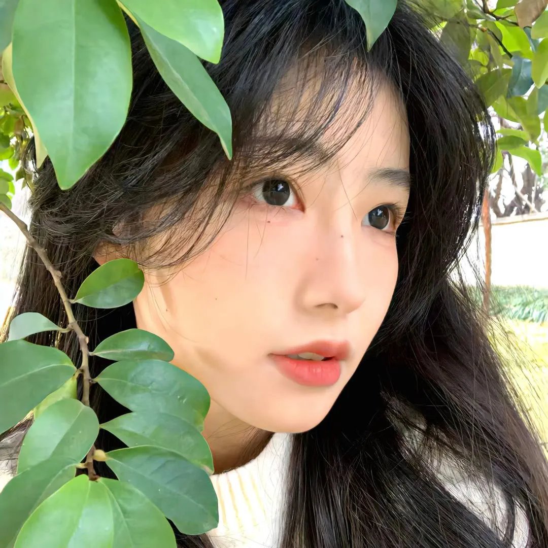 午后茶香