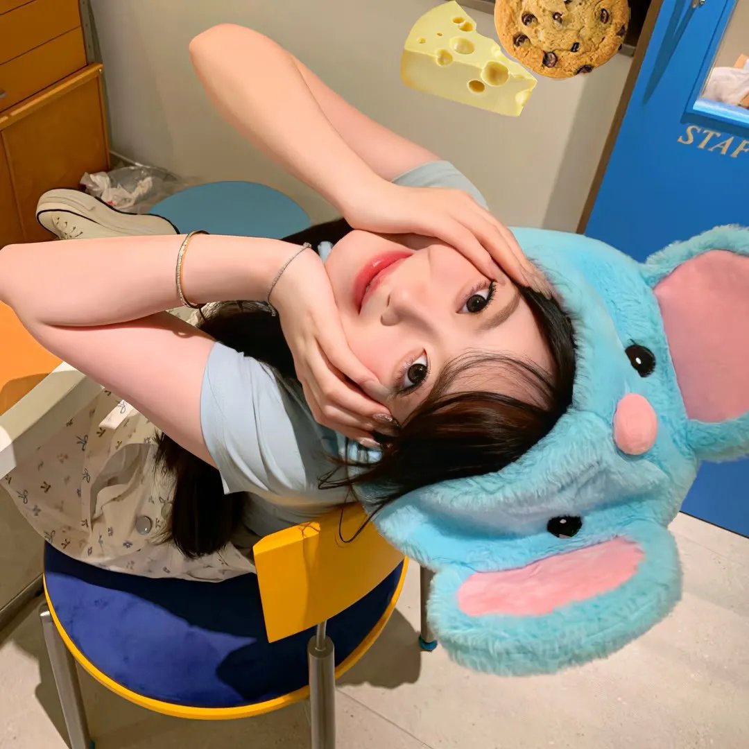 骚狐狸